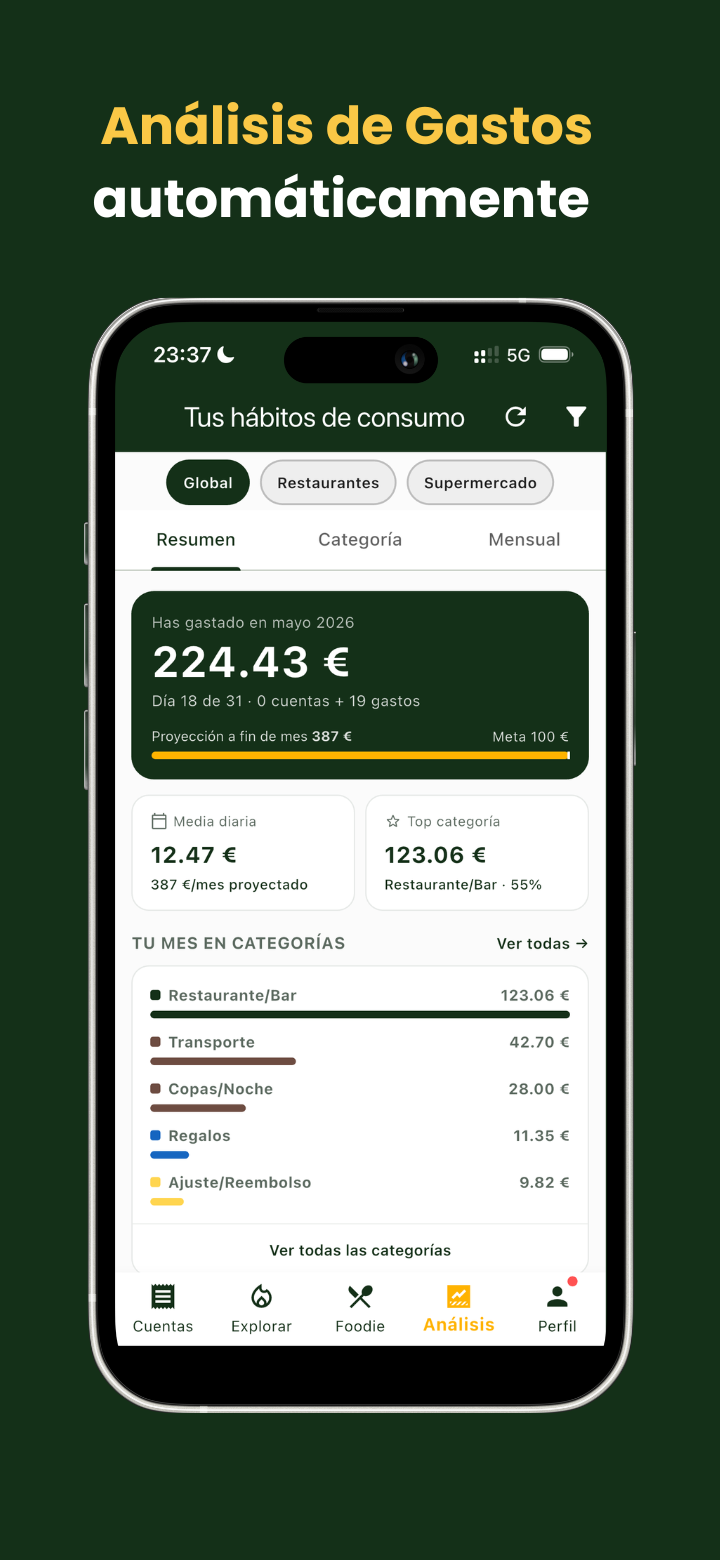 Análisis automático de gastos personales por categoría en SplitBill